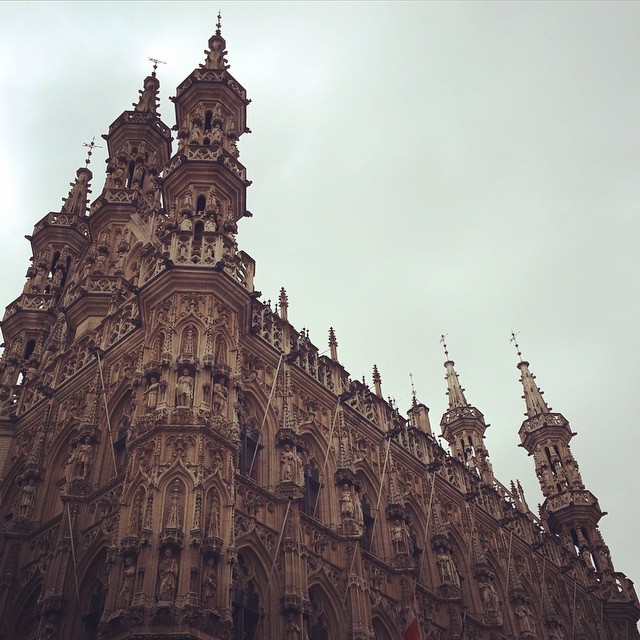 Leuven it up! #architecture #detail #belgium