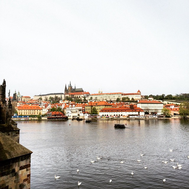 Oh Prague, you so pretty. #travel #prague #czech