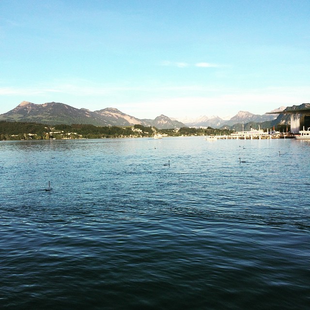 Alright where da cheese at? #swiss #switzerland