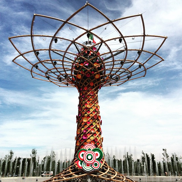 A sweet sight for sure and a cool idea, but interesting how the Expo 2015's Tree of Life looks like nothing you'd ever find in nature... #expo2015 #milan #italy
