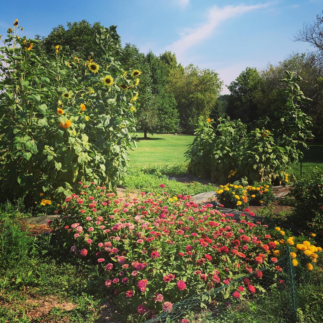 All props to the pops. Big ups for this beaut. 🙌🏻