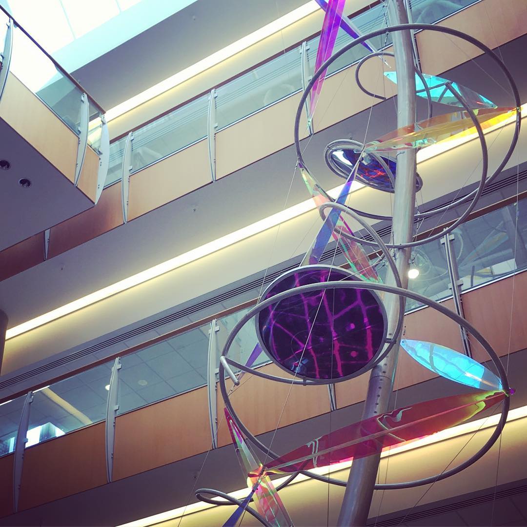 Vibrant vibes. BLS = one of the most underrated productivity spots on campus if you can snag a nook. #science #dna #sun #work #research