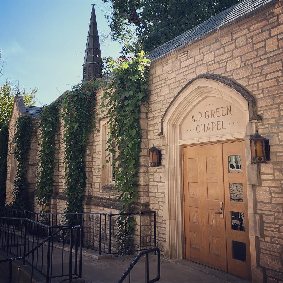 Controlled ivy + gothic lamp game strong 👌