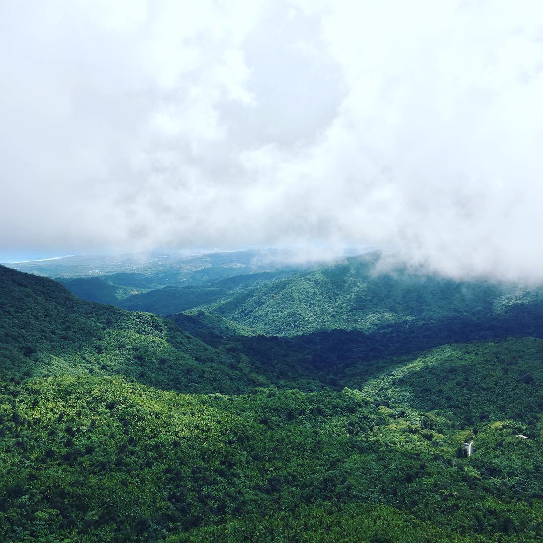 Never thought I'd say this and it's a close call but rainforest > rainforest cafe